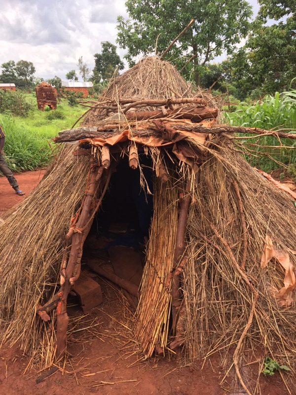 Widow and 4 orphan children live in grass and stick house